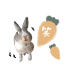 ♡saki様（個別スタンプ：1）