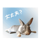 ♡saki様（個別スタンプ：9）