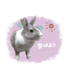 ♡saki様（個別スタンプ：10）