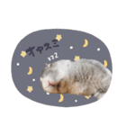 ♡saki様（個別スタンプ：16）