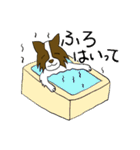 ボーダーコリー ダイちゃん#2（個別スタンプ：11）