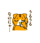 マイプリティキャッツ（個別スタンプ：11）