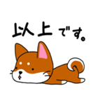 柴犬そらこ【敬語ver.】（個別スタンプ：9）