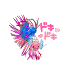 ベタ(Betta fish)（個別スタンプ：8）