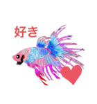 ベタ(Betta fish)（個別スタンプ：10）