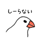 無責任な文鳥（個別スタンプ：8）