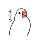 無責任な文鳥（個別スタンプ：32）