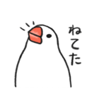 無責任な文鳥（個別スタンプ：40）