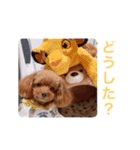 ウチのメンヘラ犬（個別スタンプ：3）
