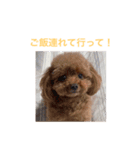 ウチのメンヘラ犬（個別スタンプ：4）