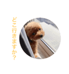 ウチのメンヘラ犬（個別スタンプ：7）