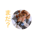 ウチのメンヘラ犬（個別スタンプ：14）