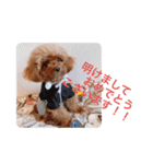 ウチのメンヘラ犬（個別スタンプ：15）