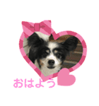 かわいいberryちゃん（個別スタンプ：1）