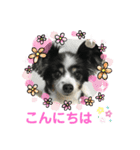かわいいberryちゃん（個別スタンプ：2）
