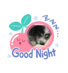かわいいberryちゃん（個別スタンプ：7）