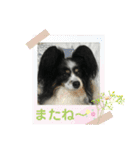 かわいいberryちゃん（個別スタンプ：8）
