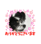 かわいいberryちゃん（個別スタンプ：10）