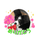 かわいいberryちゃん（個別スタンプ：11）