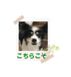 かわいいberryちゃん（個別スタンプ：13）