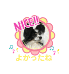 かわいいberryちゃん（個別スタンプ：17）