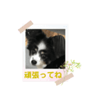かわいいberryちゃん（個別スタンプ：19）