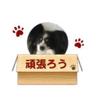 かわいいberryちゃん（個別スタンプ：21）
