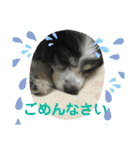 かわいいberryちゃん（個別スタンプ：24）