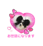 かわいいberryちゃん（個別スタンプ：29）