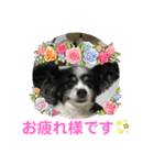 かわいいberryちゃん（個別スタンプ：30）