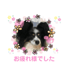 かわいいberryちゃん（個別スタンプ：31）