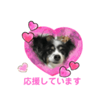 かわいいberryちゃん（個別スタンプ：34）