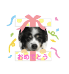 かわいいberryちゃん（個別スタンプ：40）