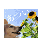 めぐななこつ日記（個別スタンプ：6）