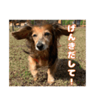 めぐななこつ日記（個別スタンプ：40）