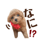 ほったんほったん/使えるスタンプ（個別スタンプ：5）
