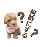 ほったんほったん/使えるスタンプ（個別スタンプ：13）
