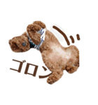 ほったんほったん/使えるスタンプ（個別スタンプ：20）