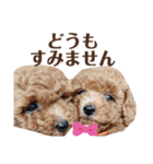 ほったんほったん/使えるスタンプ（個別スタンプ：23）