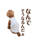 ほったんほったん/使えるスタンプ（個別スタンプ：33）