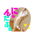 ぴんぽんとあくび 6（個別スタンプ：6）