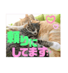 ぴんぽんとあくび 6（個別スタンプ：18）