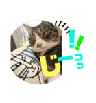 ぴんぽんとあくび 6（個別スタンプ：21）
