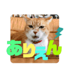 ぴんぽんとあくび 6（個別スタンプ：22）