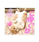 ぴんぽんとあくび 6（個別スタンプ：27）