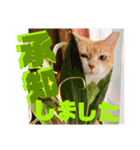 ぴんぽんとあくび 6（個別スタンプ：33）