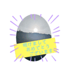 coco正月（個別スタンプ：5）