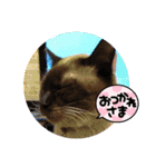愉快なジェズマたち（個別スタンプ：15）