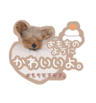 ぴのさんすたんぷ。（個別スタンプ：3）