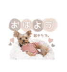 ぴのさんすたんぷ。（個別スタンプ：4）